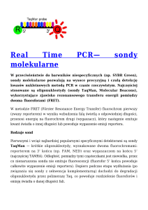 Real Time PCR— sondy molekularne