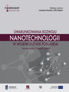 Uwarunkowania rozwoju nanotechnologii w województwie