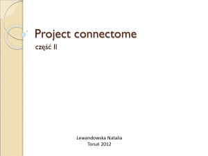 04-Project connectome_Lewandowska