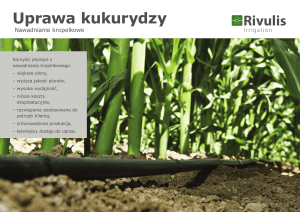 Uprawa kukurydzy - Milex systemy nawadniania