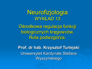 Neurofizjologia