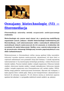 Oswajamy biotechnologię (VI) — fitoremediacja