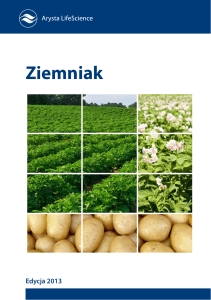 Ziemniak - Arysta LifeScience Polska Sp z oo