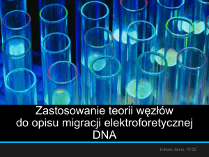 Zastosowanie teorii węzłów do opisu migracji elektroforetycznej DNA