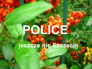 police - m.zaborowska