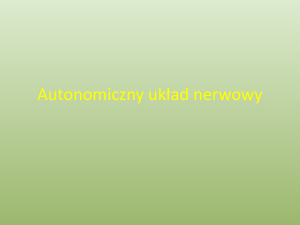 Autonomiczny układ nerwowy
