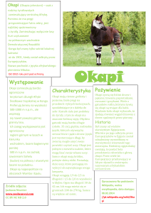 Okapi - Blogi CEO