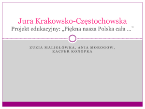 Jura Krakowsko-Cz*stochowska