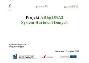 System Hurtowni Danych ARI@DNA