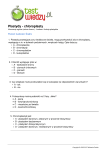 Plastydy - chloroplasty