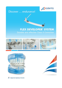 flex_developer_-_katalog_pl