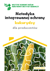 kukurydzy Metodyka integrowanej ochrony