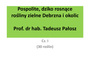Prezentacja prof. dr hab. Pałosza na temat „Pospolite, dziko rosnące