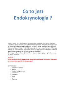 Co to jest Endokrynologia ?