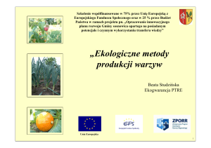 Ekologiczne metody produkcji warzyw
