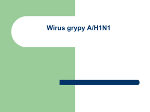 Wirus typu AH1N1