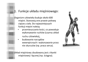 1. Funkcje układu mięśniowego: