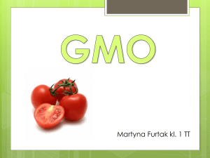 GMO Martyna Furtak kl 1 TT