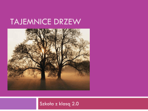 Tajemnice drzew - Szkoła z Klasą 2.0