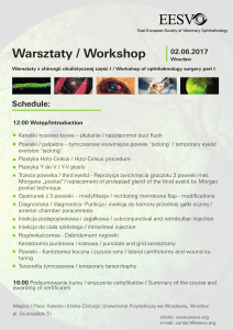 Warsztaty / Workshop
