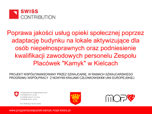Kamyk - Program Szwajcarski – DPS