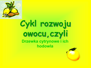 Cykl rozwoju owocu,czyli - Gimnazjum Jaworzyna Śląska