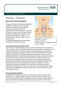 Trachea = Tchawica gruczołu tarczowego