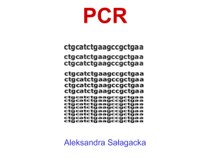 Reakcja PCR
