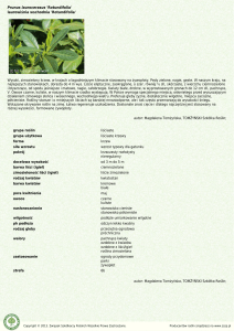 Karta rośliny - Katalog roślin