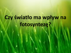 Czy *wiat*o ma wp*yw na fotosynteze?