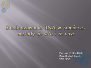 Prezentacja-dr Dariusz Jan Smoliński