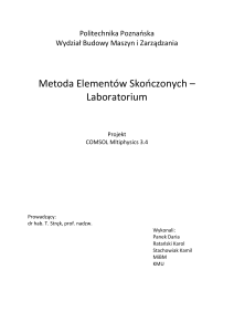 Metoda Elementów Skooczonych – Laboratorium
