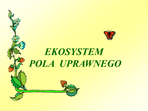 ekosystem pola