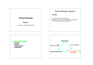 Patomorfologia Patomorfologia wykład 2