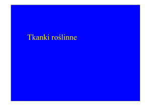 (Microsoft PowerPoint - Tkanki roslinne i anatomia ro\234lin.ppt)