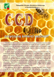 przyczyną śmierci pszczół? - Małopolski Ośrodek Doradztwa