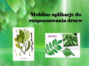 Mobilne aplikacje do rozpoznawania drzew Sposoby