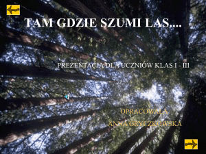 Tam gdzie szumi las (prezentacja)