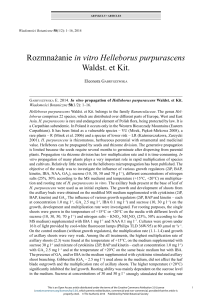 Rozmnażanie in vitro Helleborus purpurascens Waldst. et Kit.