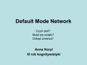 Default Mode Network