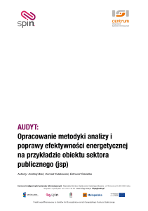 AUDYT: Opracowanie metodyki analizy i poprawy efektywności