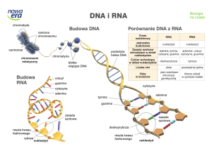 DNA i RNA - Plus Edukacja