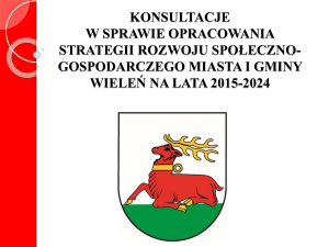 Lokalny Program Rewitalizacji dla Miasta Gostyń na