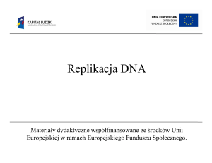 2. Replikacja DNA