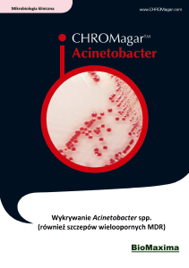 PROJEKT - CHROMagar Acinetobacter