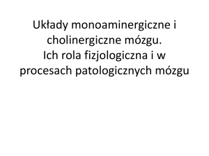 Układy monoaminergiczne i cholinergiczne mózgu. Ich rola