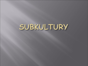 subkultury - klonowic.lublin.pl