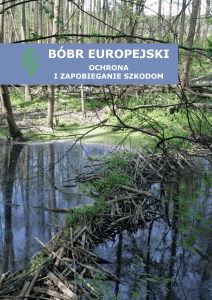 bóbr europejski - Generalna Dyrekcja Ochrony Środowiska