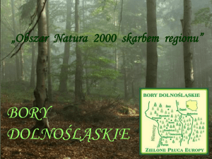 Bory Dolnośląskie - Natura 2000 a turystyka