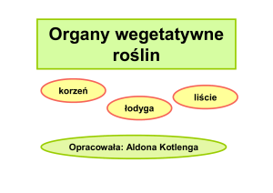 Organy wegetatywne
